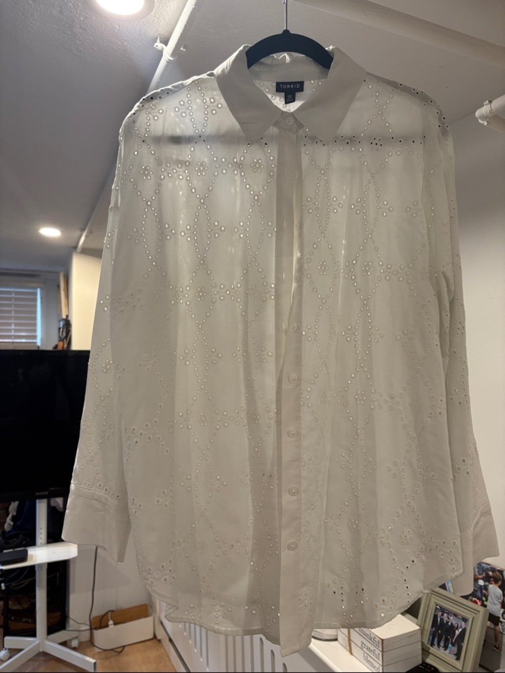 torrid pale pale green (just a tint of green) Eyelet Button-Up Shirt